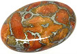 Corail Eponge Corail Eponge