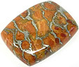Corail Eponge Corail Eponge