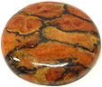 Corail Assemblé Corail Assemblé