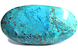 Chrysocolle Chrysocolle