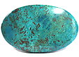 Chrysocolle Chrysocolle