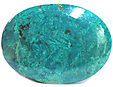 Chrysocolle Chrysocolle