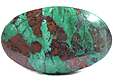Chrysocolle Chrysocolle