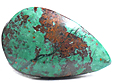 Chrysocolle Chrysocolle
