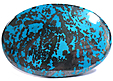 Chrysocolle Chrysocolle