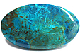 Chrysocolle Chrysocolle