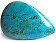 Chrysocolle Chrysocolle