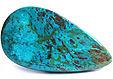 Chrysocolle Chrysocolle