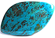 Chrysocolle Chrysocolle