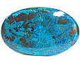 Chrysocolle Chrysocolle