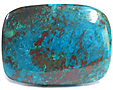 Chrysocolle Chrysocolle