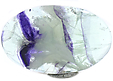 Fluorite à Inclusions Fluorite à Inclusions