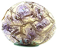 Fluorite à Inclusions Fluorite à Inclusions