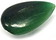 Fuchsite Fuchsite
