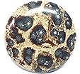 Jaspe Leopard Jaspe Leopard