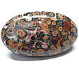 Jaspe Leopard Jaspe Leopard
