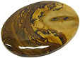 Jaspe de Biggs Jaspe de Biggs