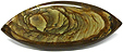 Jaspe de Biggs Jaspe de Biggs