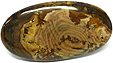 Jaspe de Biggs Jaspe de Biggs