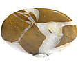 Jaspe Brechique Jaspe Brechique