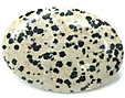 Jaspe Dalmatien Jaspe Dalmatien