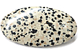 Jaspe Dalmatien Jaspe Dalmatien