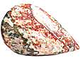 Jaspe Leopard Jaspe Leopard