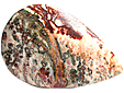 Jaspe Leopard Jaspe Leopard