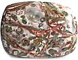 Jaspe Leopard Jaspe Leopard