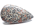 Jaspe Leopard Jaspe Leopard