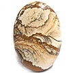 Jaspe Paysage Jaspe Paysage