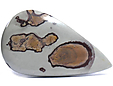 Jaspe Polychrome Jaspe Polychrome