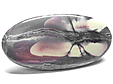 Jaspe Porcelaine Jaspe Porcelaine