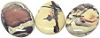 Jaspe Porcelaine Jaspe Porcelaine