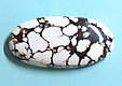 Magnesite Wild Horse Magnesite Wild Horse