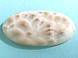 Natrolite Natrolite