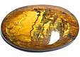 Nellite Nellite