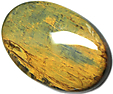 Nellite Nellite