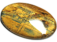 Nellite Nellite