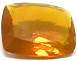 Opale Jelly Opale Jelly