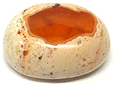 Opale Matrix Opale Matrix
