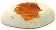 Opale Matrix Opale Matrix