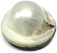 Perle Blister Perle Blister