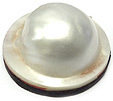 Perle Blister Perle Blister