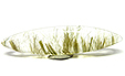 Quartz à double inclusions Quartz à double inclusions