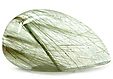 Quartz à double inclusions Quartz à double inclusions