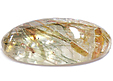 Quartz à Actinolite Quartz à Actinolite
