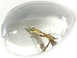 Quartz à Aegirine Quartz à Aegirine