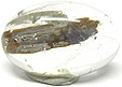 Quartz à Brookite Quartz à Brookite