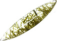 Quartz à Epidote Quartz à Epidote
